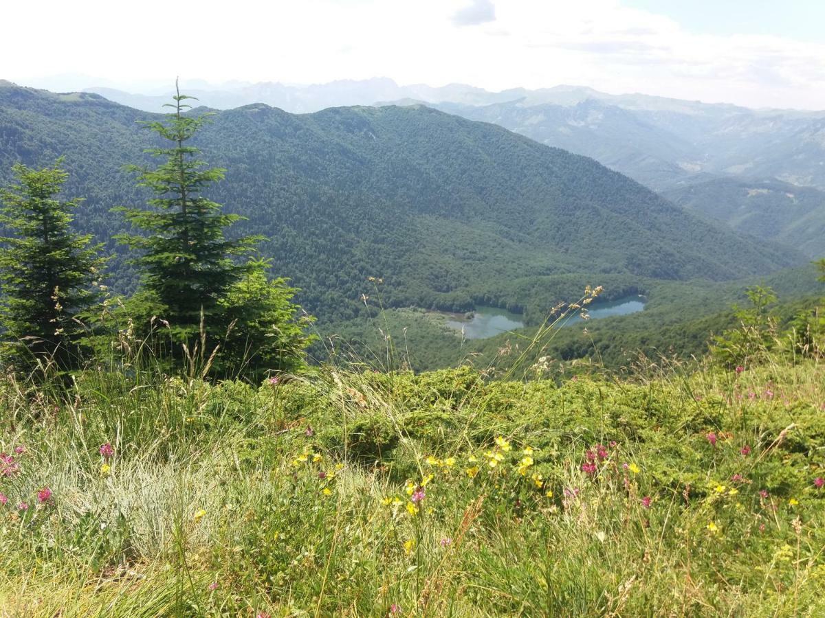 Eko Katun Damjanovic - Bjelasica Mojkovac Exteriér fotografie