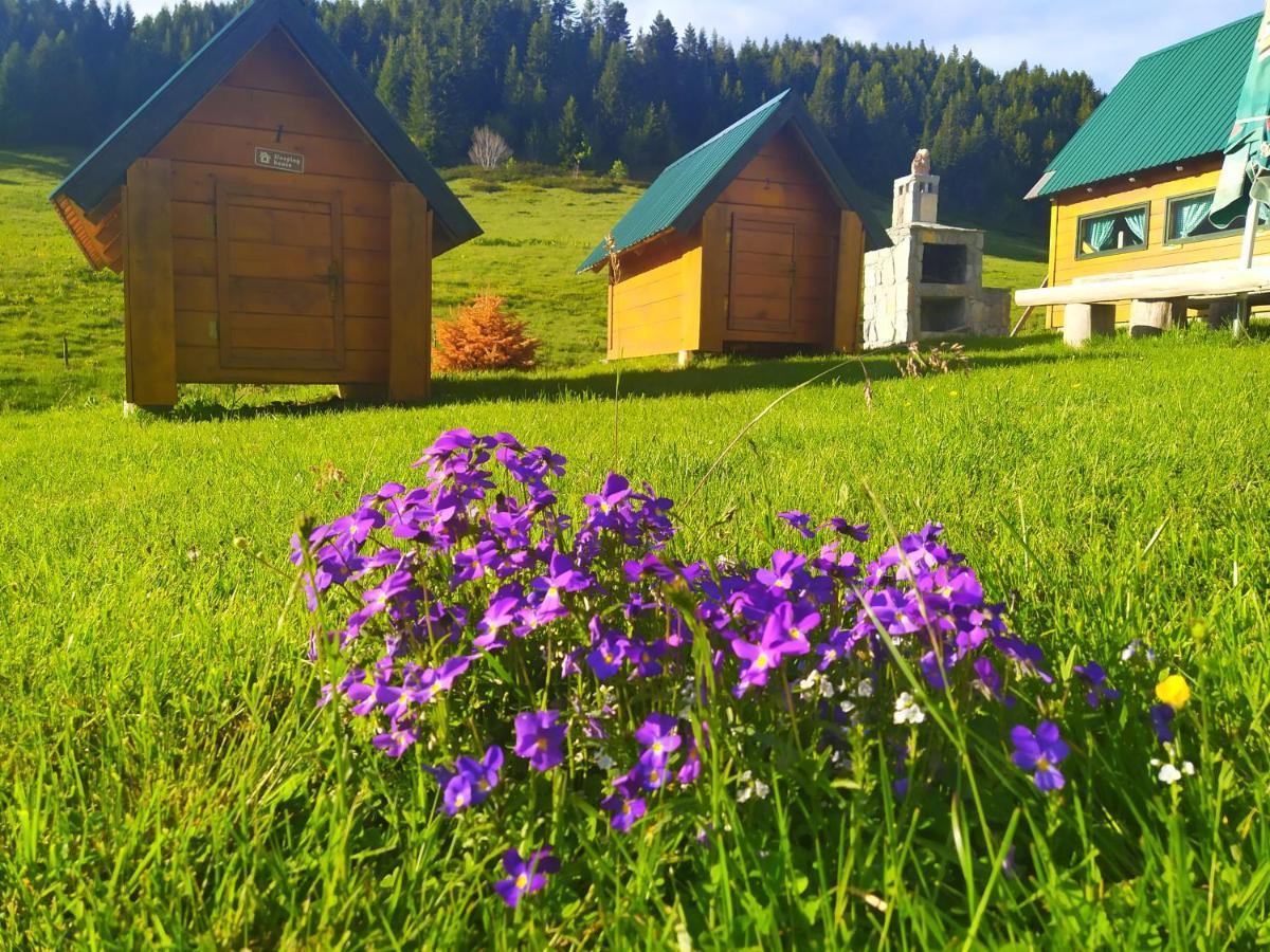 Eko Katun Damjanovic - Bjelasica Mojkovac Exteriér fotografie